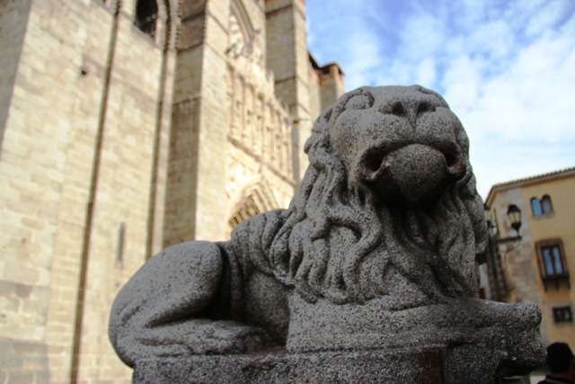Ávila Cathedral Lion